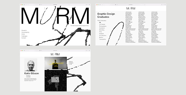 MURM was a proposed concept for this years degree show, which worked on a metaphor of our cohort as a starling murmuration - celebrating the individual within the collective