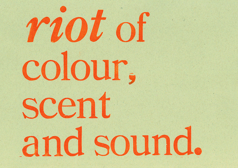 ‘Ardour’ is my most recent and collaborative project, it is a news publication on the topic of protest. Issue 1 is a guide through Derek Jarman’s garden, each chapter inspired by different sections of his Dungeness home. The curated selection of articles is a reflection on how, in its nature, Prospect Cottage and its surroundings are a symbol of expressive opposition. When unfolded, the publication is A1 but can be folded down to A6 (pocket size) which keeps it compact and easily transportable. ‘Ardour’ definition: great passion or enthusiasm, feelings of great intensity and warmth, eagerness; zeal (usually in favour of a person or cause).