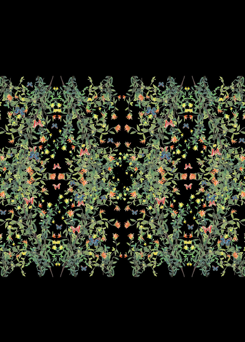 These images are hand-painted illustrations that have been scanned into Photoshop and turned into repeating pattern designs, inspired by the textile artist Timourus Beasties. The final works were used in the 2nd year unit X project this project relied on collaboration in a group with designers from other disciplines to create a series of outcomes to display the Material Source centre in Manchester, My group came up with the title Space Separation and play, we each individually worked on producing sustainable ways to decorate a space using design. I hand-painted each flower and insect in each pattern and used Photoshop to turn them into a repeating pattern experimenting with layout and pattern design. The purpose for these designs was to create a 'Digital Wallpaper' that can be used in any space and is sustainable.