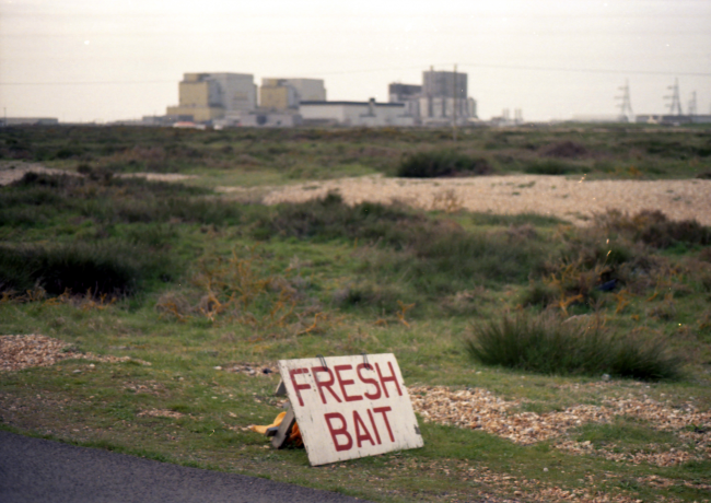 'Fresh Bait' in Dungeness - 35mm colour film photograph