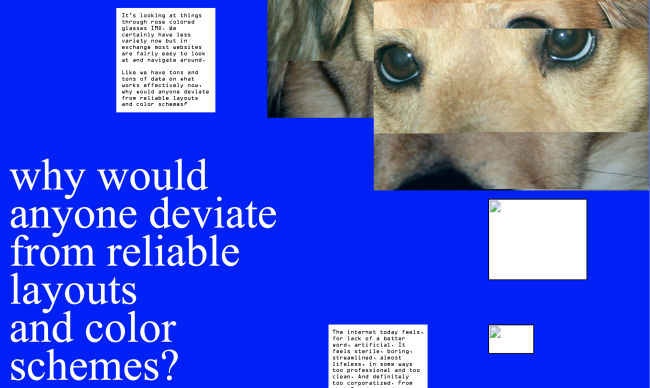 Corrupted_and_Inaccessible is a webpage that captures the conflict and differences between the early internet and the internet as it exists today. Full of opinions from web users, it contrasts the design choices made during each era and explores how much history has been lost because many websites were not properly archived.