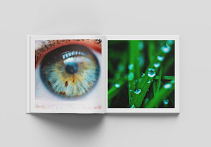 From my book: To all the little things. An image based publication that explores how the things…